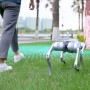 Бионический четырехопорный робот Unitree Go2 версии AIR