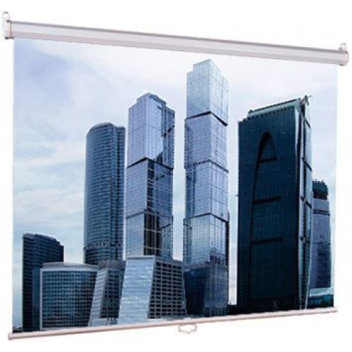 Настенный экран Lumien Eco Picture 206х274см (рабочая область 198х266 см) Matte White прямоуголный корпус, возможность потолочн./настенного крепления, уровень в комплекте, 4:3